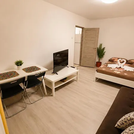Garsoniera Langa Spital Bagdasar,obregia Si Institutul Pentru Ordine Publica Nu Ofer Factura Apartment