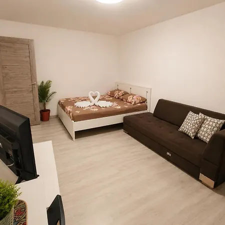 Garsoniera Langa Spital Bagdasar,obregia Si Institutul Pentru Ordine Publica Nu Ofer Factura Apartment Bucharest