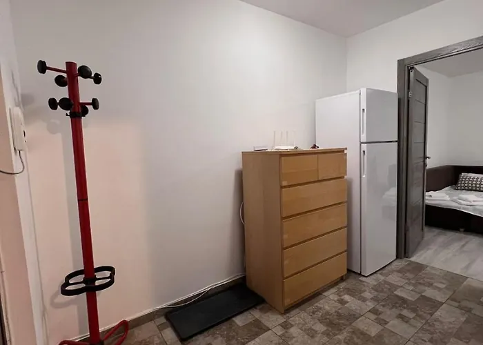 Apartment Garsoniera Langa Spital Bagdasar,obregia Si Institutul Pentru Ordine Publica Nu Ofer Factura *